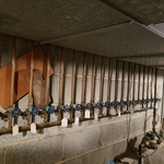 Plumb Nation LLC/ Clevelandsplumber.com