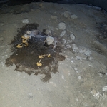 Water leak in crawl space