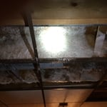 Attic Mold Removal