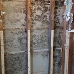 Our Work