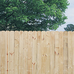 Wood Fence