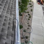 Cleaned Gutters
