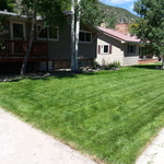 Our Work