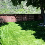 Our Work