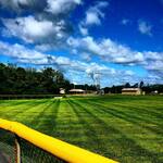 Routine Grass Cutting
