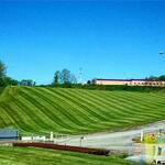 Routine Grass Cutting