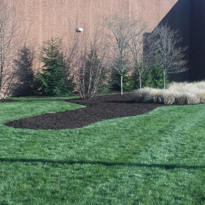 Routine Grass cutting and maintaing of trees