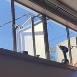 Custom Shower Enclosures