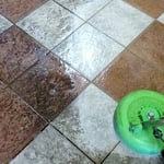Tile and Grout Cleaning