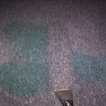 Carpet Cleaning