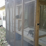 Outdoor "Catio"