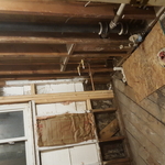replace rotted framing / partial floor replacement