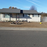 Sod and Curbing