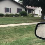 A home in Elmwood