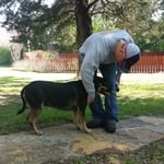 No longer chasing squirrels