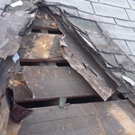 roofing moose lodge