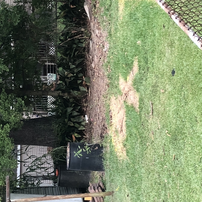 Trash pick up and haul off