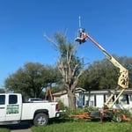 R&G work