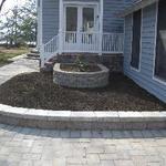 Retaining Wall and Plant