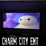 120" Projection screen