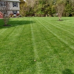 lawn care services