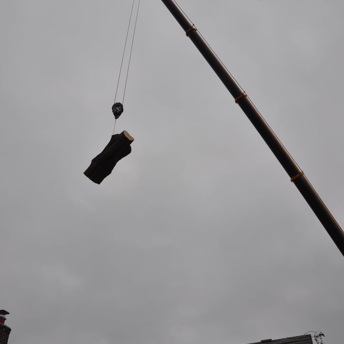 Crane Trunk over house