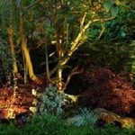 Lighting
