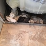 Washer not draining