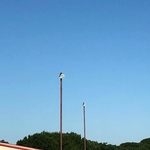 Arena Lights 2