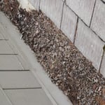 Debris in gutters and drainage areas