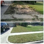 Sod- Front yard
