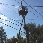 Cherry Hill, NJ tree service