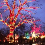 Candy Cane Tree
