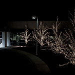 Commercial Lighting