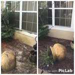 Before and After