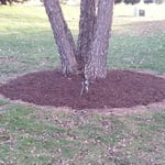 mulching