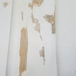 Paint