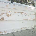 Paint
