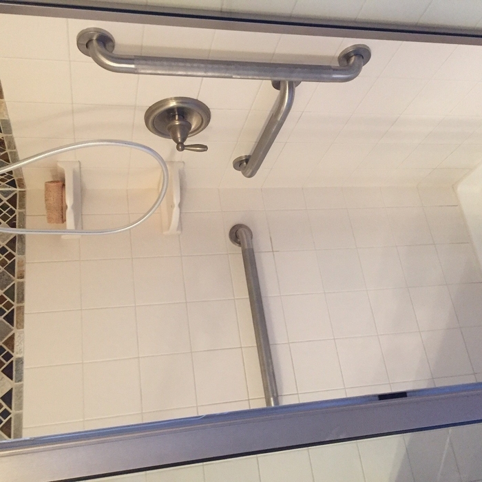 Grab bars in the shower
