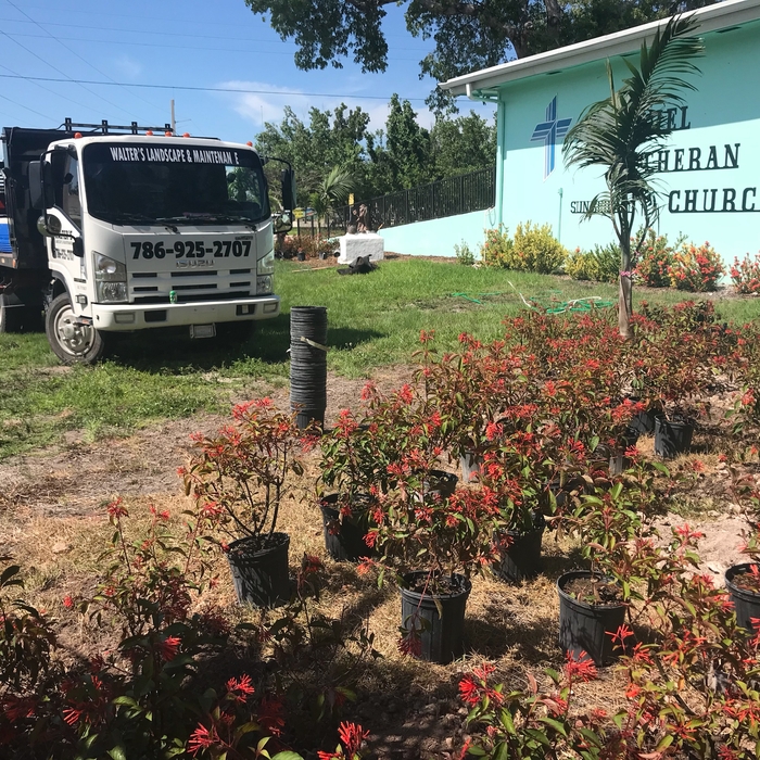 Installation in Key Largo / Tavernier