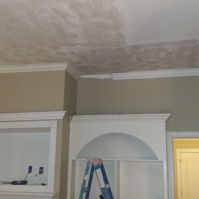 ceiling replacement