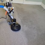 Typical heavy soiled carpets