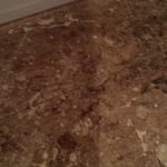 MOLD RE-mediation