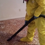 MOLD RE-mediation