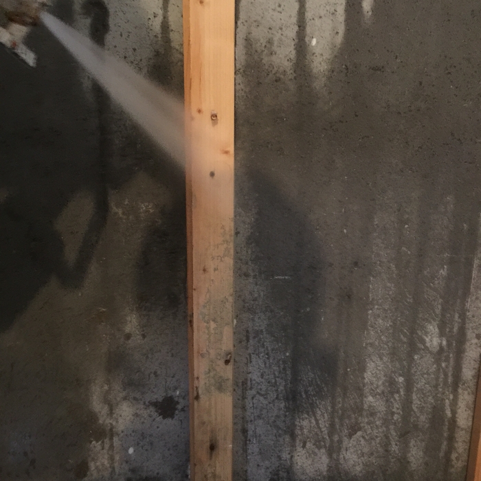 MOLD RE-mediation
