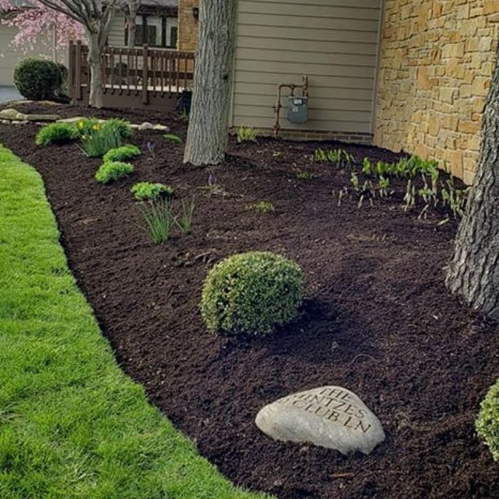 Peat Moss