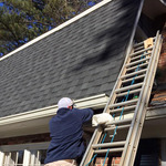 Bat Removal