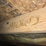 It's MOLD