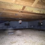Buttonwood Crawlspace