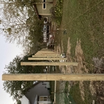 Privacy Fence